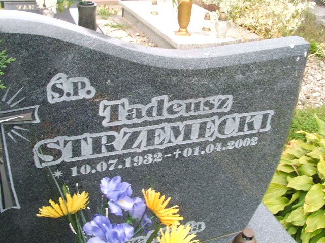 Tadeusz Strzemecki 1932 Lubsko - Grobonet - Wyszukiwarka osób pochowanych