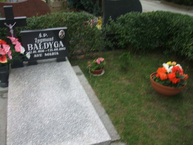 Grób Zygmunt Bałdyga