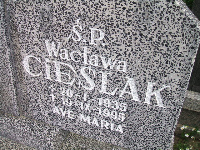 Wojciech Leśniak 1982 Lubsko - Grobonet - Wyszukiwarka osób pochowanych