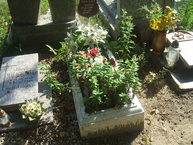 Natalia Piasecka Lubsko - Grobonet - Wyszukiwarka osób pochowanych