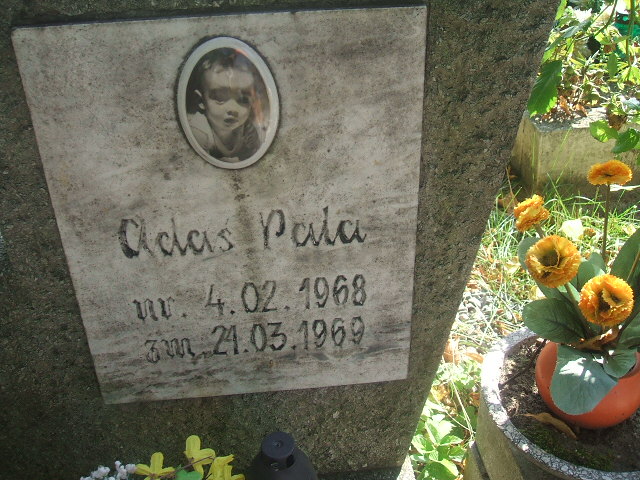 Adam Pala 1968 Lubsko - Grobonet - Wyszukiwarka osób pochowanych