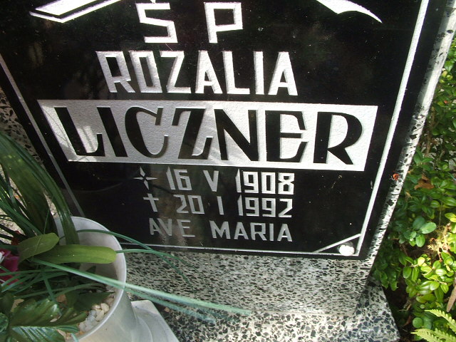 Rozalia Liczner 1908 Lubsko - Grobonet - Wyszukiwarka osób pochowanych