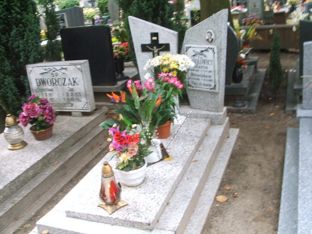 Bronisław Wesołowski 1955 Lubsko - Grobonet - Wyszukiwarka osób pochowanych