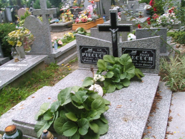 Grób Józef Piecuch