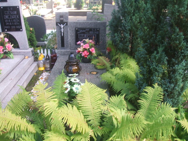 Halina Owczarek 1952 Lubsko - Grobonet - Wyszukiwarka osób pochowanych