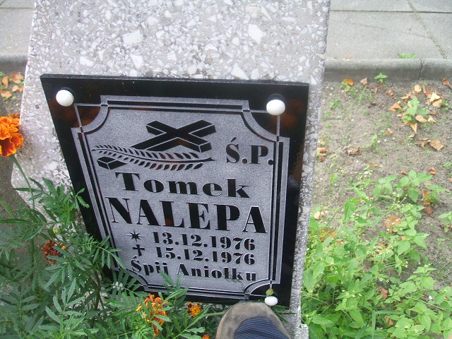 Tomasz Nalepa 1976 Lubsko - Grobonet - Wyszukiwarka osób pochowanych