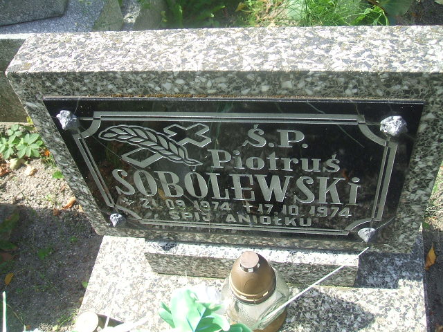 Piotr Sobolewski 1974 Lubsko - Grobonet - Wyszukiwarka osób pochowanych