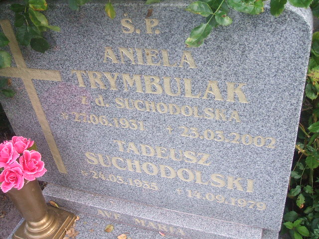 Tadeusz Suchodolski 1935 Lubsko - Grobonet - Wyszukiwarka osób pochowanych