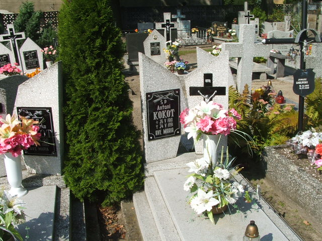 Grób Lilia Kokot