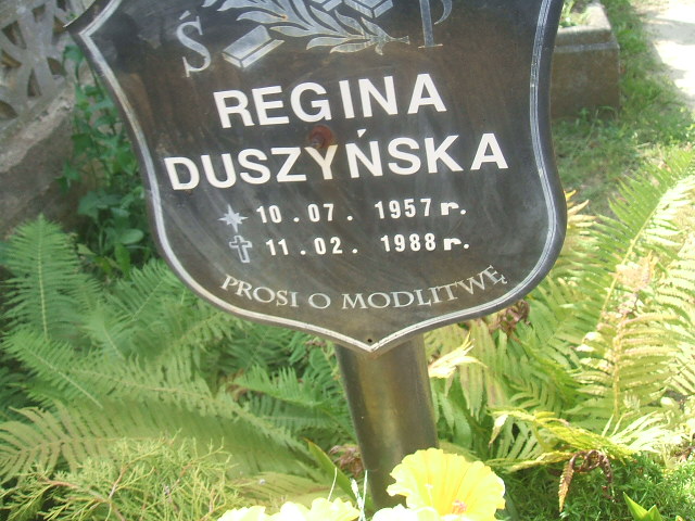 Andrzej Krawczyk 1960 Lubsko - Grobonet - Wyszukiwarka osób pochowanych